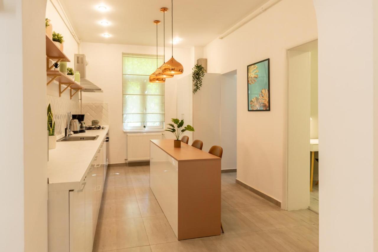 Ideal Stay: Spacious 2Br Apt Near Calea Victoriei Βουκουρέστι Εξωτερικό φωτογραφία